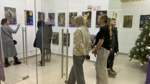 &laquo;Истории, которые вдохновляют&raquo;: ТВ-3&nbsp;взял под опеку 650&nbsp;животных из&nbsp;приюта в&nbsp;Приангарье                            