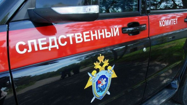 В Усть-Илимске возбудили дело после убийства двоих детей