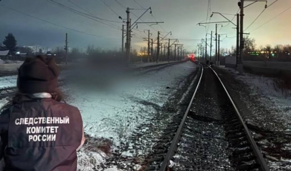 В&nbsp;Усольском районе поезд насмерть сбил мужчину с&nbsp;детьми                            
