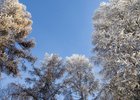 
                В Братске объем выбросов в воздух снизили на 20,7 тысячи тонн
                
            