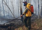 
                Многомиллионные иски ждут виновников лесных пожаров в Иркутской области
                
            