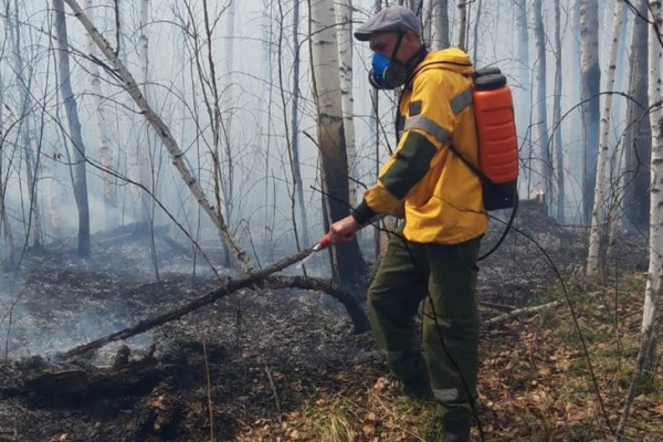 
                Многомиллионные иски ждут виновников лесных пожаров в Иркутской области
                
            