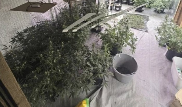 В иркутском аэропорту мужчину задержали за сбыт наркотиков В иркутском аэропорту мужчину задержали за сбыт наркотиков