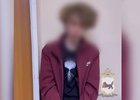 
                В суд передали дело об убийстве подростком двух девушек в Шелехове
                
            