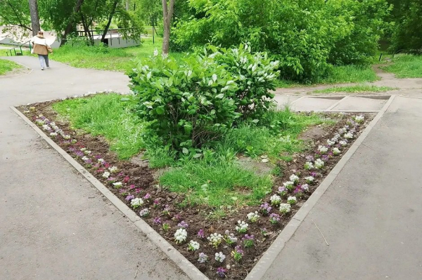 
                В Иркутске завершают оформление городских клумб к летнему сезону
                
            