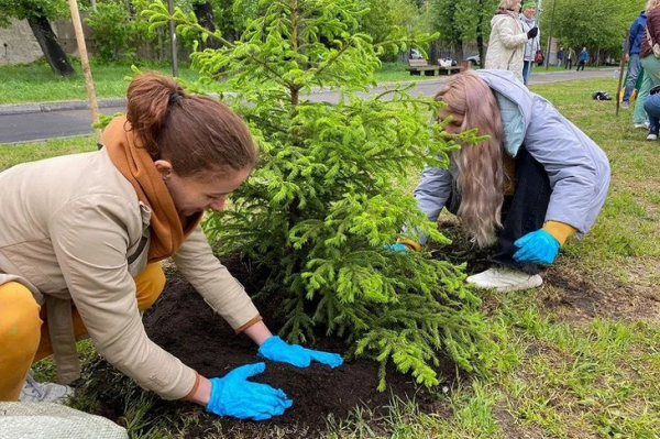 
                270 деревьев и кустарников высадили в Иркутске за май
                
            