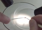 
                15 тысяч жителей Иркутской области пострадали от укусов клещей с начала сезона
                
            