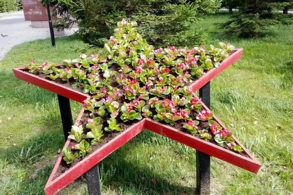 
                В Иркутске завершают оформление городских клумб к летнему сезону
                
            