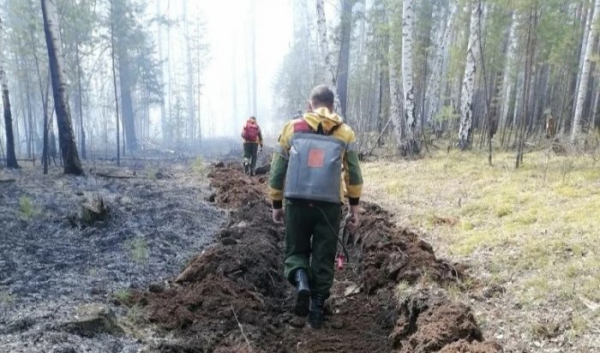 Шесть лесных пожаров потушили в&nbsp;Приангарье                            