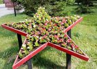 
                В Иркутске завершают оформление городских клумб к летнему сезону
                
            