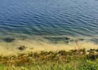 
                В нацпарке объяснили появление желто-зеленой воды в Байкале вблизи КБЖД
                
            