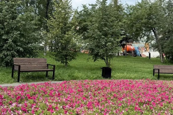 
                Новые скамейки появились в парках Иркутска
                
            