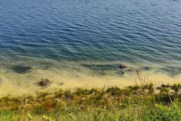 
                В нацпарке объяснили появление желто-зеленой воды в Байкале вблизи КБЖД
                
            