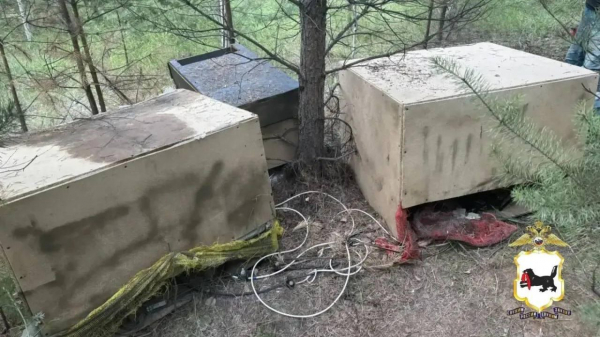 В лесу под Иркутском нашли подключенную к ЛЭП майнинговую ферму В лесу под Иркутском нашли подключенную к ЛЭП майнинговую ферму
