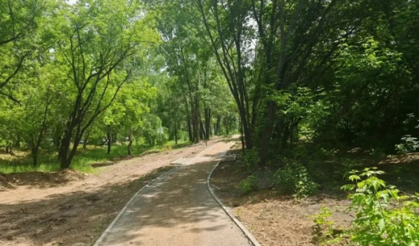 В&nbsp;Иркутске продолжается благоустройство экотропы &laquo;Птичья гавань&raquo;                            