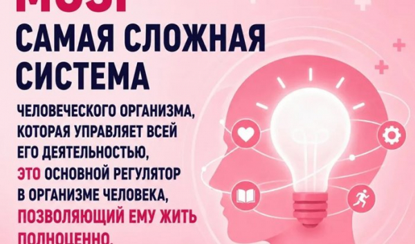 В Иркутске проходит Неделя здоровья мозга В Иркутске проходит Неделя здоровья мозга