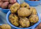 В Приангарье выросли цены на картофель, колбасу, спички и услуги такси
В Приангарье выросли цены на картофель, колбасу, спички и услуги такси