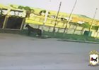 
                В Эхирит-Булагатском районе жеребец разбил витрины магазина
                
            