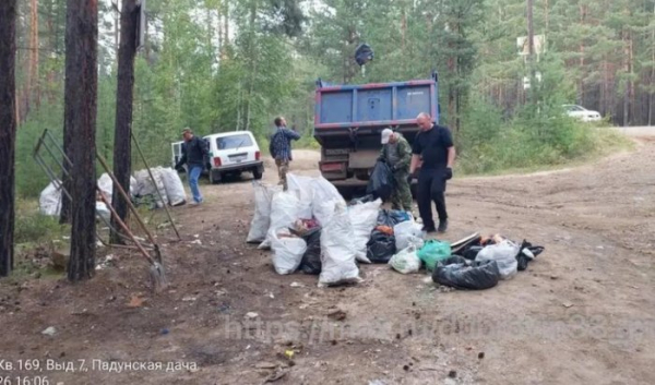 Мэр Братска предостерегает жителей от создания свалок в лесу из-за медведей                            