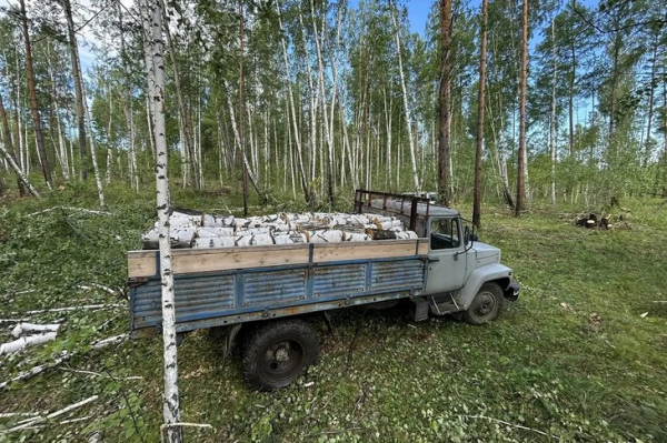 В Куйтунском районе задержали мужчину, незаконно срубившего березы
В Куйтунском районе задержали мужчину, незаконно срубившего березы