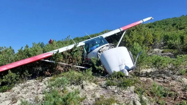 Члены экипажа упавшего в Приангарье Cessna 182 встречали в тайге диких животных