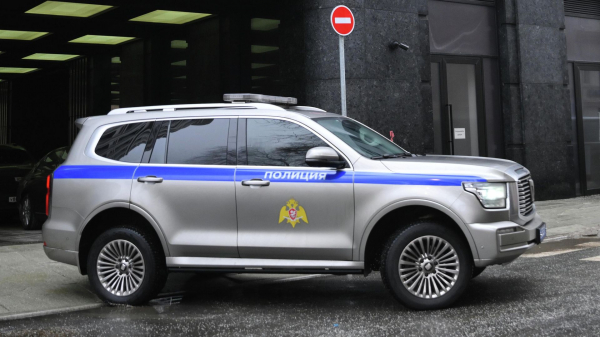 В Иркутске полиция начала поиски ушедших из дома восьмилетних двойняшек