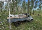 В Куйтунском районе задержали мужчину, незаконно срубившего березы
В Куйтунском районе задержали мужчину, незаконно срубившего березы