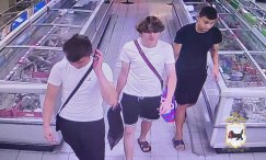Воров-сладкоежек разыскивают в&nbsp;Иркутске                            