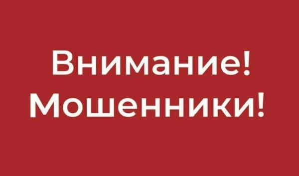 Челлендж &laquo;пирожное за&nbsp;15&nbsp;секунд&raquo;: мошенники-аниматоры обманывают иркутян                            