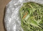 В Иркутске транспортные полицейские задержали двух мужчин с марихуаной
В Иркутске транспортные полицейские задержали двух мужчин с марихуаной