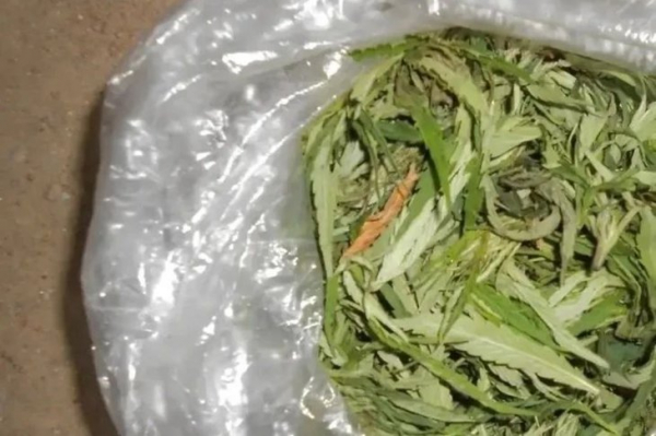 В Иркутске транспортные полицейские задержали двух мужчин с марихуаной
В Иркутске транспортные полицейские задержали двух мужчин с марихуаной