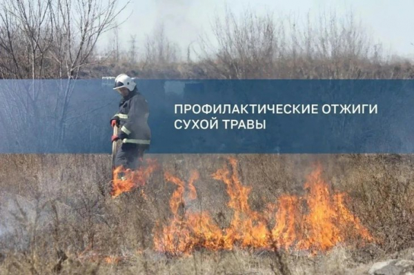 
                В Иркутске начались осенние отжиги сухой травы
                
            