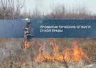 
                В Иркутске начались осенние отжиги сухой травы
                
            