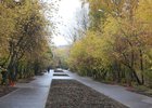 Трехъярусный амфитеатр смонтируют в парке имени Парижской коммуны в Иркутске
Трехъярусный амфитеатр смонтируют в парке имени Парижской коммуны в Иркутске