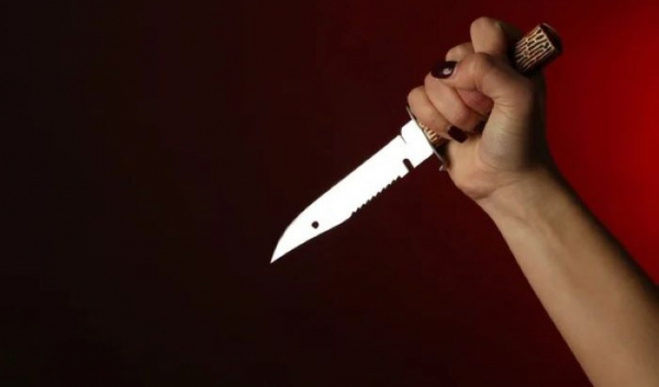Братчанка подозревается в&nbsp;покушении на&nbsp;убийство своего сожителя                            